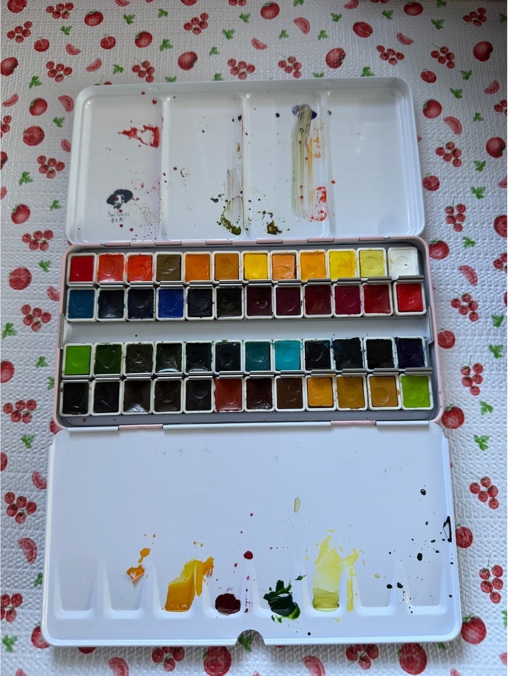 Paul Rubens Watercolor Paint Set with 48 Colors and Mixing Palette
